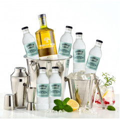 Pachet Handcrafted Gin Whitley Neill Party Kit